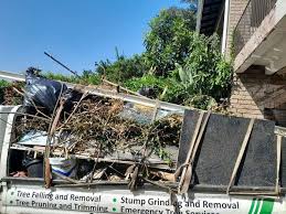 Shed Removal in Bartlett, TN